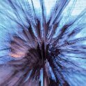 Eye of the Storm