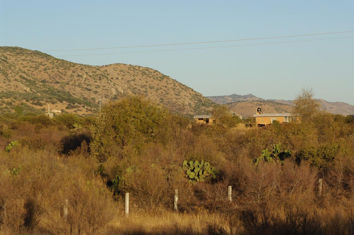 IMGP0417