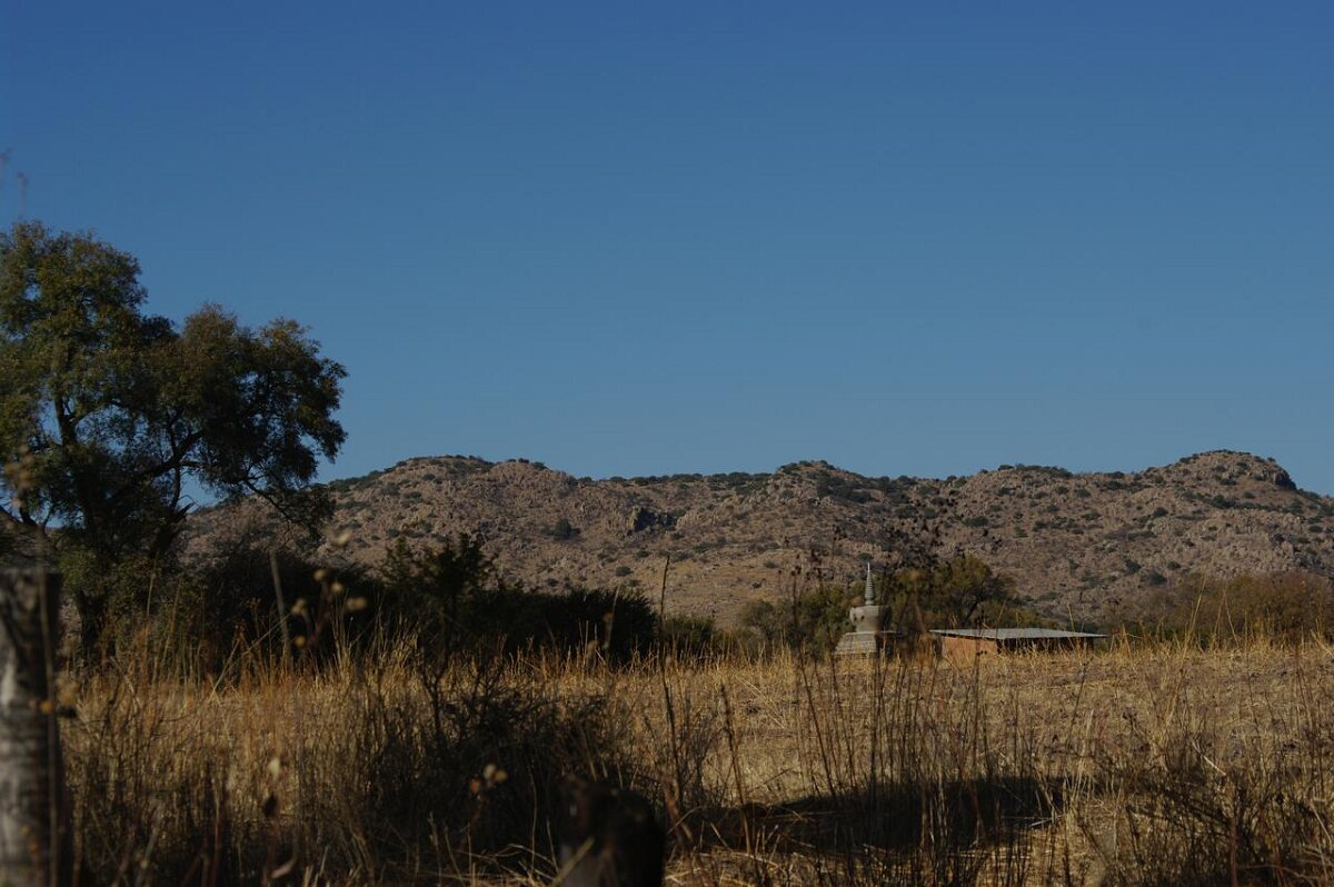 IMGP0499