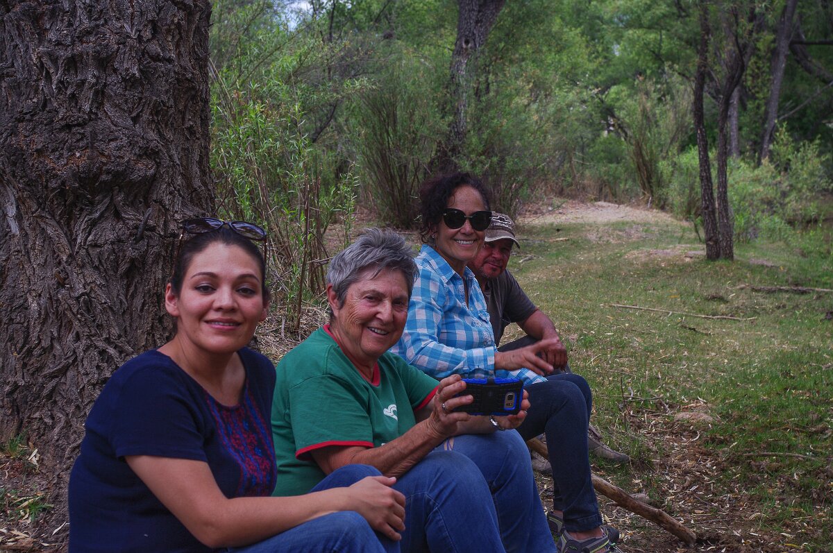 Visitors by the Creek