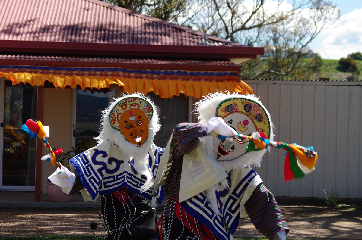 IMGP0969