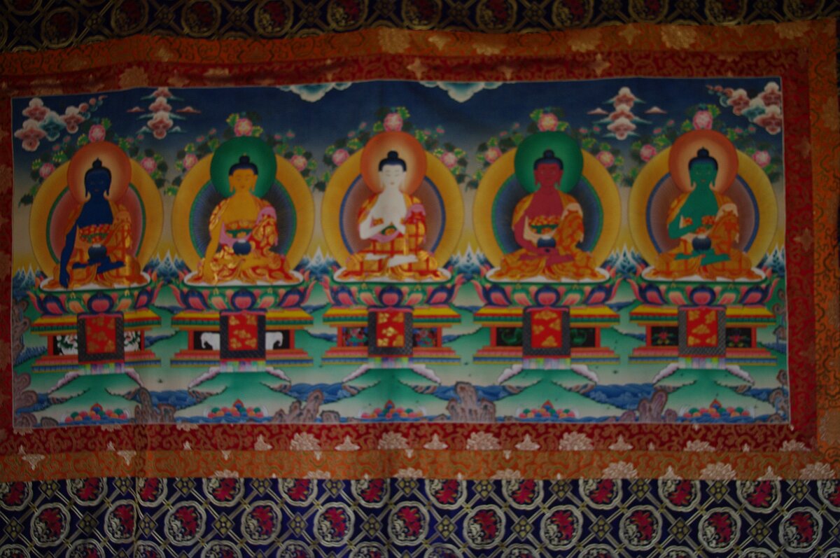 IMGP0971