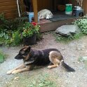 WP_20170827_003