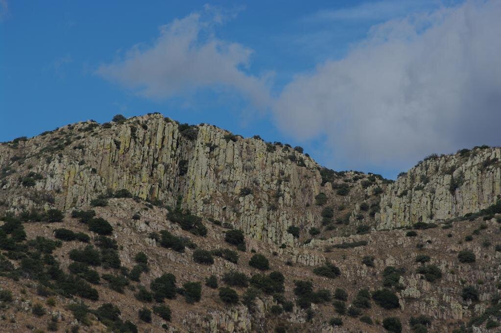 20IMGP0093