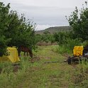 IMGP0350