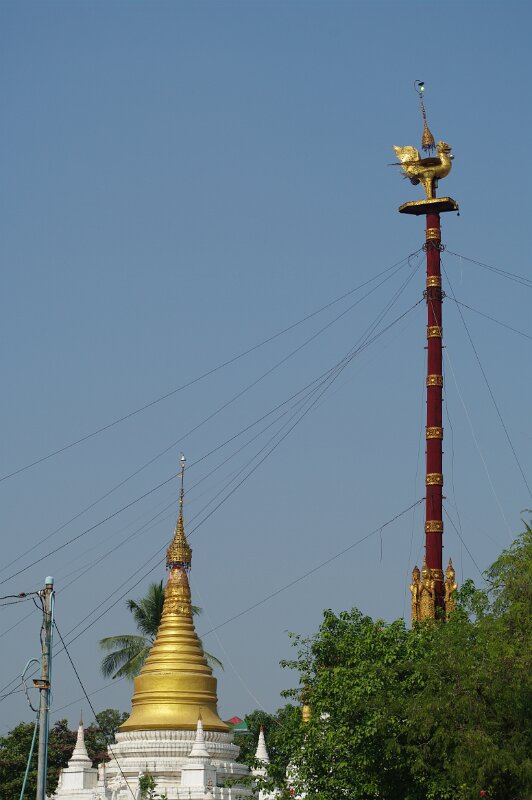 IMGP0519