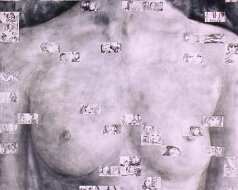 drawings